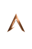ASCEND Collective